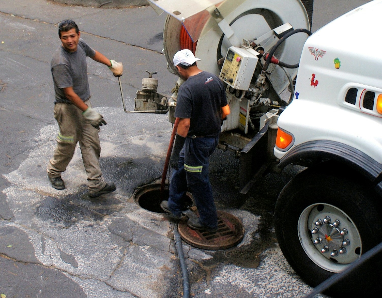 photo-1612618736568-d0d3888817c0